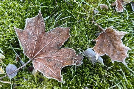 Vom Kälterekord ist das Wetter in Deutschland noch weit entfernt.