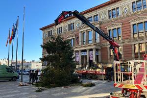 Pannen mit Weihnachtsbäumen sind in Berlin keine Seltenheit. 