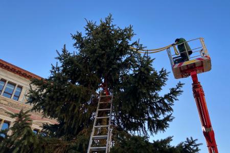 Mit viel Kreativität 