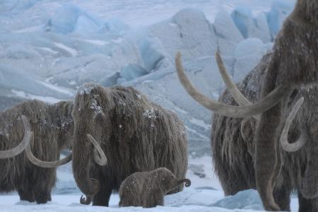 Ein Planet vor unserer Zeit: Eiszeit