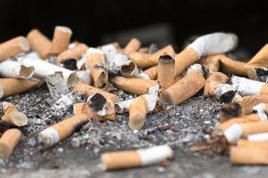 Billionen von Zigarettenkippen landen jedes Jahr in der Umwelt. (Symbolbild)