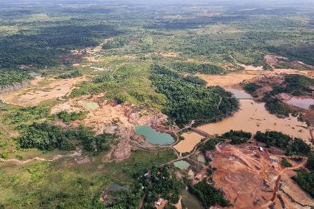 Der Gipfel konnte sich nicht auf deutliche Beschlüsse im Kampf gegen die Entwaldung einigen. (Archivbild)
