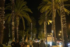 Palma hat die Weihnachtsbeleuchtung angeschaltet. 