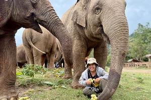 Saengduean "Lek" Chailert verbringt täglich viel Zeit mit ihren Elefanten. 