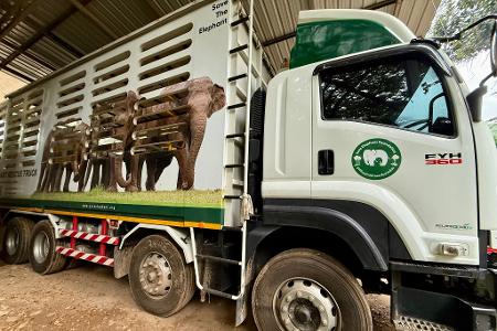 In solchen Trucks werden die Elefanten nach ihrer Rettung in den Elephant Nature Park gefahren.
