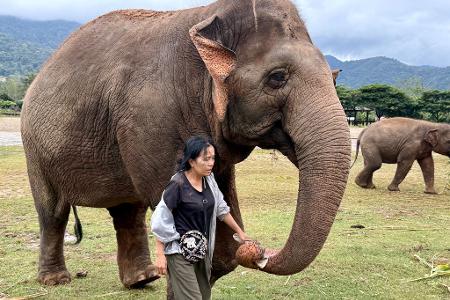 Lek ist für ihre Arbeit vielfach ausgezeichnet worden.