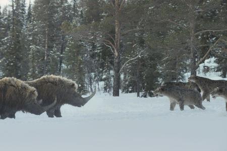 Ein Planet vor unserer Zeit: Eiszeit