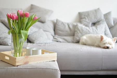 Frühling in den eigenen vier Wänden