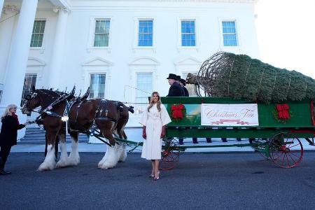 Melania Trump und der Weihnachtsbaum fürs Weiße Haus