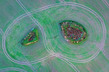 Zwei Inseln auf dem Feld - Landwirtschaft von oben