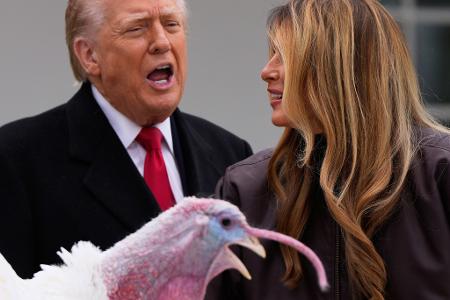 Trump begnadigt Truthahn vor Thanksgiving.