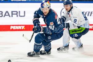 DEL: Straubing verliert erneut - Köln siegt im Klassiker