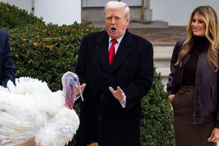 Mit Melania: Donald Trump begnadigt Truthähne im Weißen Haus