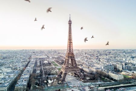 Ein Schwarm Vögel vor dem Eiffelturm in Paris