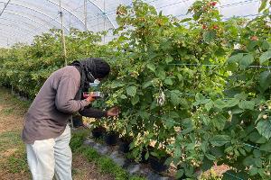 Die befreiten Migranten wurden laut Polizei oft geschlagen. 