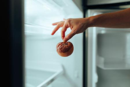 Schimmel in den Müll?