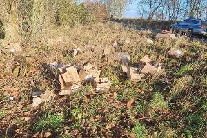 Der Fundort der Pakete zwischen Alt Brenz und Blievenstorf.