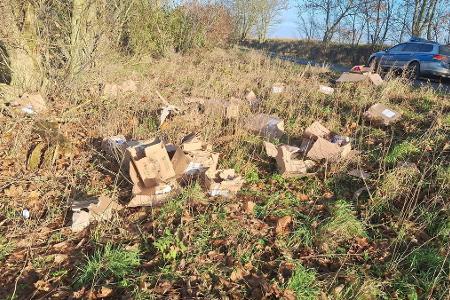 Der Fundort der Pakete zwischen Alt Brenz und Blievenstorf.