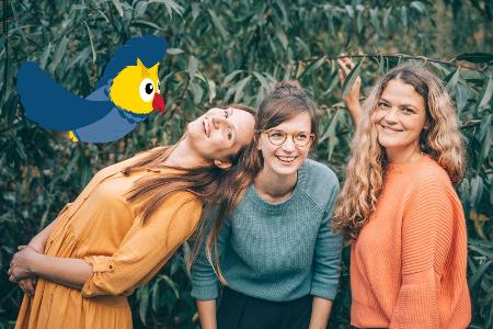 Eule findet den Beat