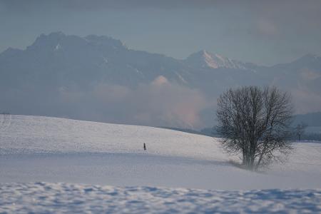 Der Deutsche Wetterdienst gibt an diesem Freitag seine Bilanz für den Herbst bekannt. (Symbolbild)