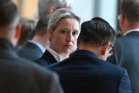 AfD-Chefin Weidel warnt vor Gewalt gegen AfD-Mitglieder.
