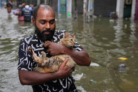 Mit Katze durch die überfluteten Straßen
