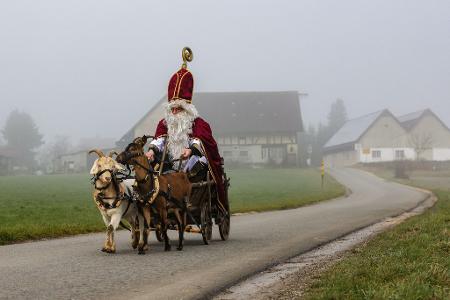 Ziegen ziehen Nikolausgespann