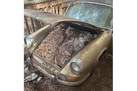Porsche 911 E Targa unter Kiefernzapfen begraben