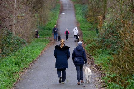 Zum Wochenstart wird es in vielen Regionen Deutschlands heiter bis wolkig. 