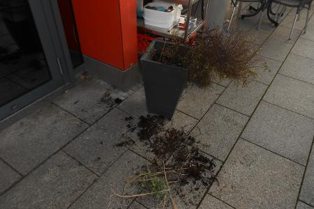 Blumen aus Kübel gerissen