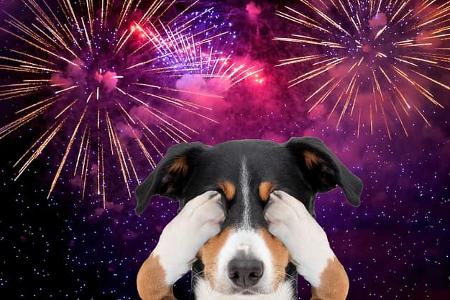 Purple Firework celebrate anniversary happy new year 2025, 4th of july holiday festival. Purple firework in night time celebrate national holiday. Violet firework Countdown to new year 2025 festival