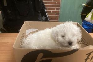 Quelle: Polizei Göttingen