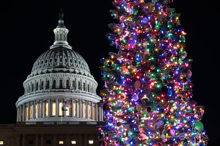 Der Weihnachtsbaum des US-Kapitols, eine Rottanne aus dem Humboldt-Toiyabe National Forest in Nevada, wird beleuchtet.
