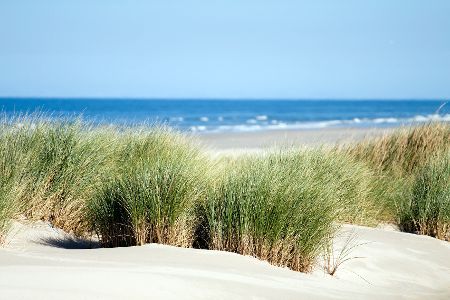 Küste mit Sanddünen und Gras