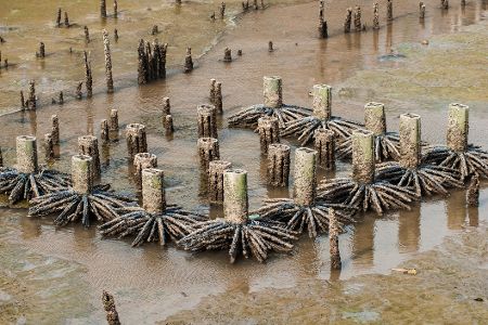 Menschliche Betonstrukturen an der Küste