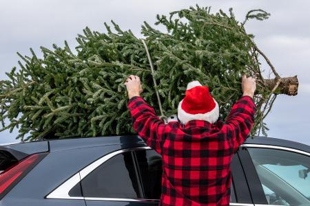 Sicher mit Spanngurt befestigen