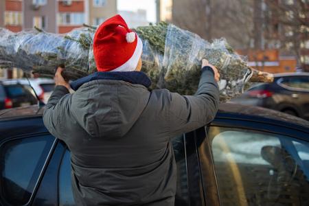 Lack vor Kratzern schützen