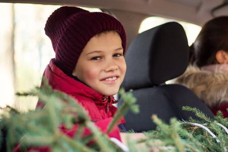 Stamm nach vorne auch im Innenraum