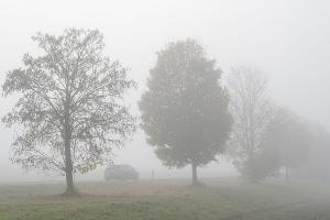 Das Wetter wird zwar zum Wochenende milder, aber es bleibt vielerorts glatt. (Symbolbild)