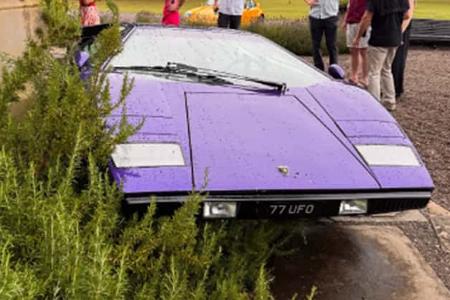 Lamborghini Countach im Busch