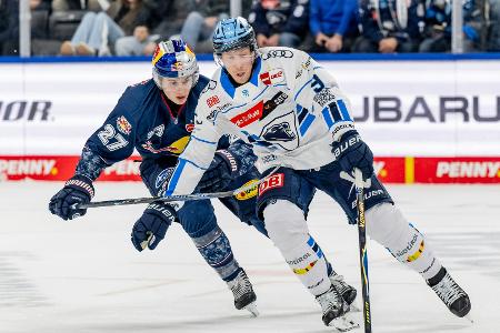 DEL: München stoppt Ingolstadts Serie - Mannheim Erster