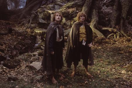 Peregrin Tuk und Meriadoc Brandybock