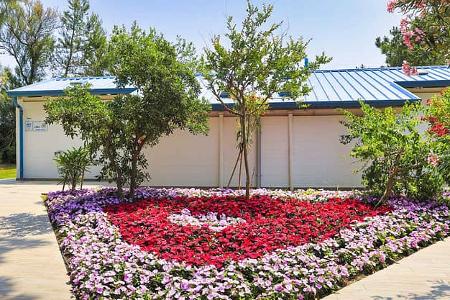 Campingplatz, Camping Village Pino Mare, Blumenbeet