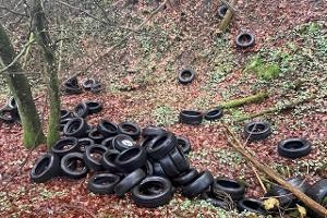 Illegal entsorgte Altreifen