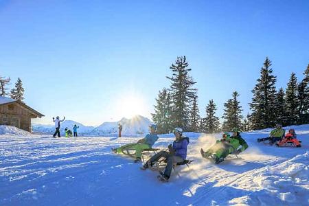 i_Winter_Alpen_Hochwurzen