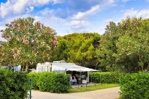 Campingplatz, Camping Village Pino Mare, Standard-Parzelle