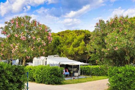 Campingplatz, Camping Village Pino Mare, Standard-Parzelle