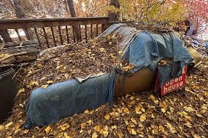 Porsche 911 E Targa unter Kiefernzapfen begraben