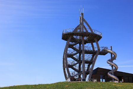 Noahs Segel auf dem Ellenbogen