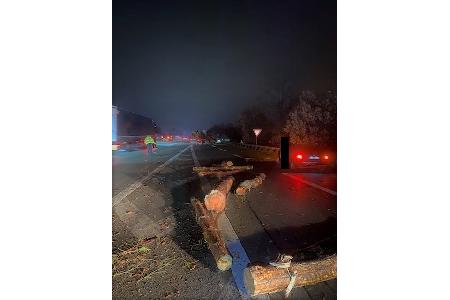 Die Baumstämme auf der Fahrbahn
